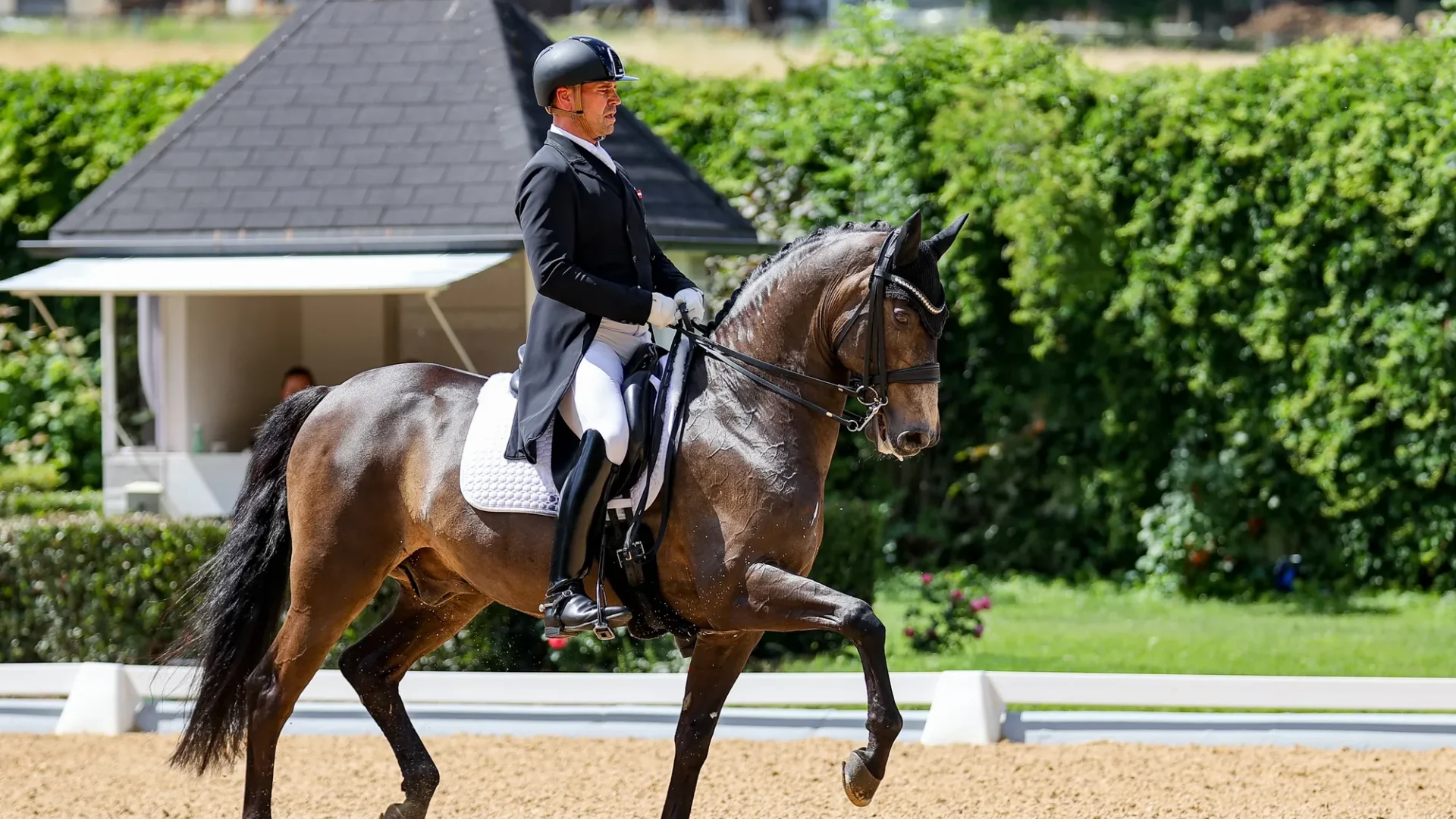 Stefan Lehfellner mit L’Espoir beim CDI Achleiten in Oberösterreich