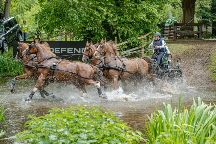 Fahrsport mit Gespann in Österreich