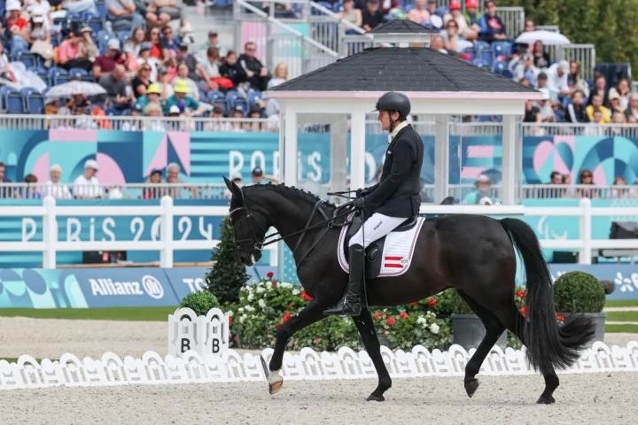 Para-Dressur in Österreich
