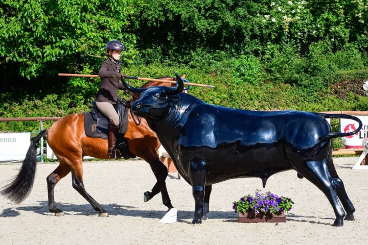 Working Equitation in Österreich