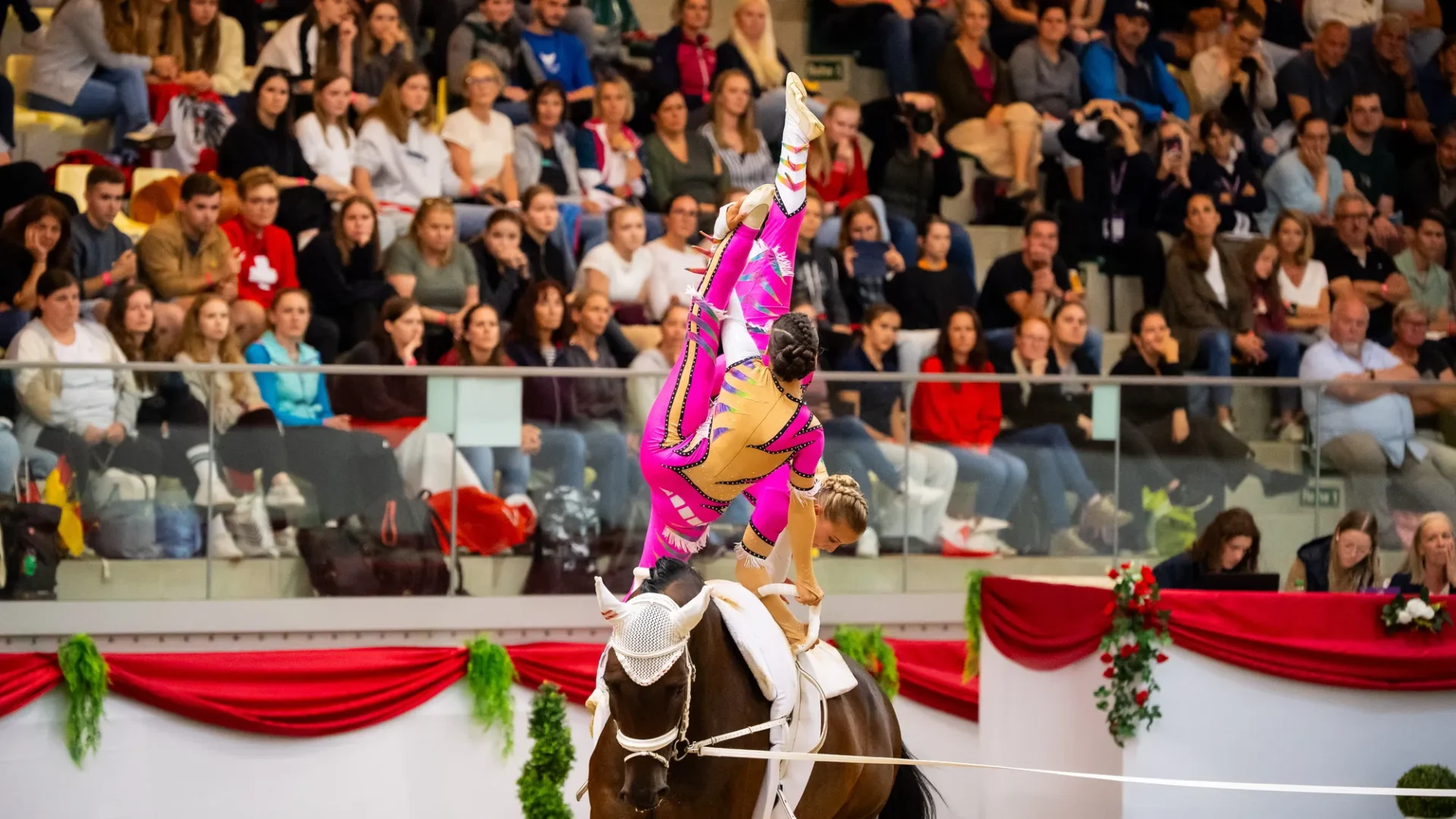 Voltigieren – Aufmacher derPFERDESPORT.at